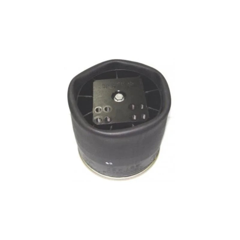 BPW Air Spring Assembly Type 36 - 70.0059A