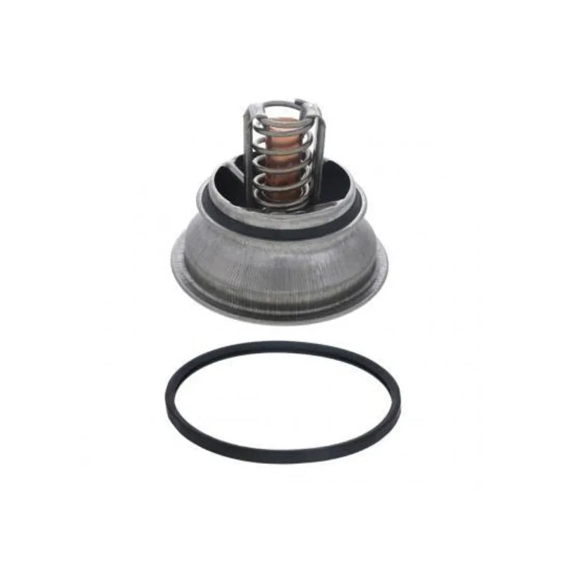 PAI Thermostat Kit - 801160